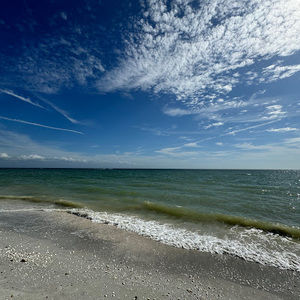 Meet your Posher, Dylan